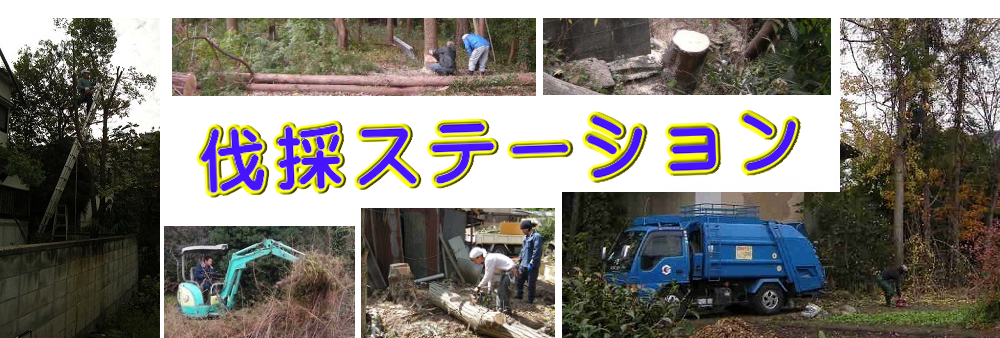富士市の庭木伐採、立木枝落し、草刈りを承ります。